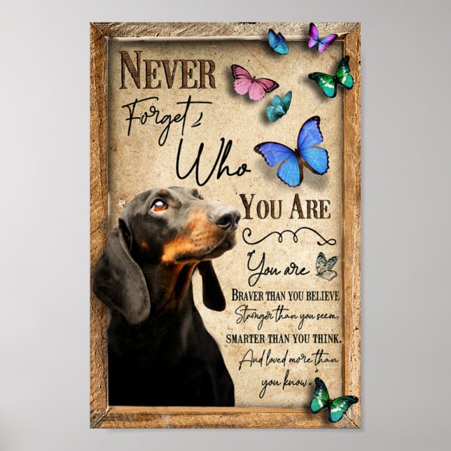 Poster Dachshund Never Forget Who You Are (Frente)