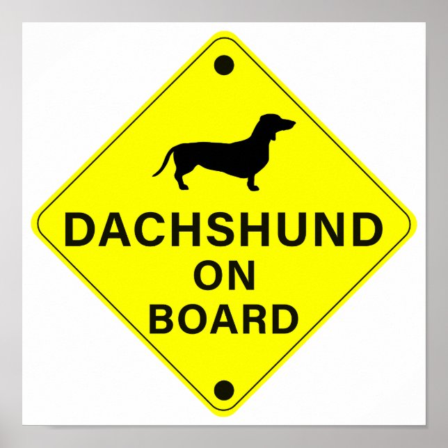 Poster Dachshund no Conselho Engraçado Pára-choque (Frente)