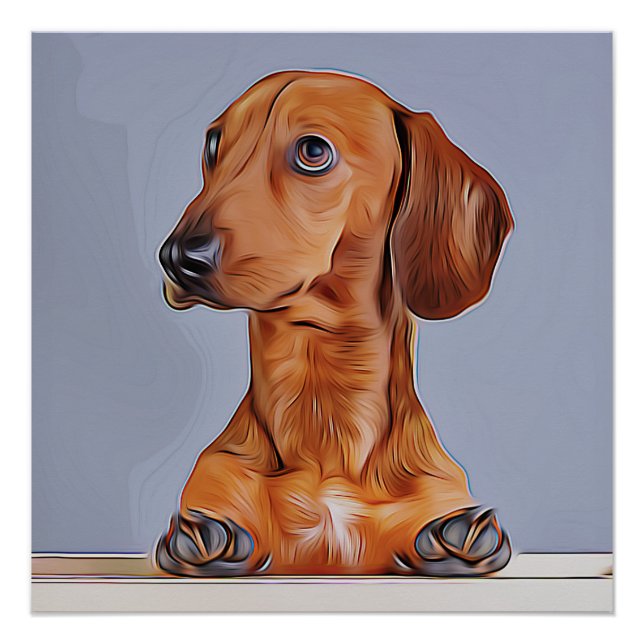 Pôster Dachshund Olhando Para Longe O Cachorro Poster de  (Frente)