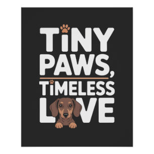 Pôster Dachshund Patas Pequenas, Amor Atemporal