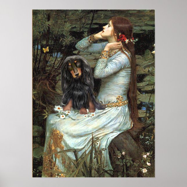 Poster Dachshund (pelo longo BT) - Ophelia Sentada (Frente)