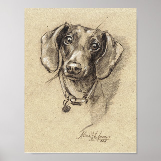 Poster - Dachshund portrait size 8.5" x 11" (Frente)