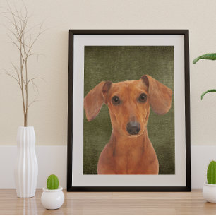 Pôster Dachshund Poster