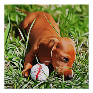 Pôster Dachshund Puppy Poa Em Grama Com Bola Xmas Pos