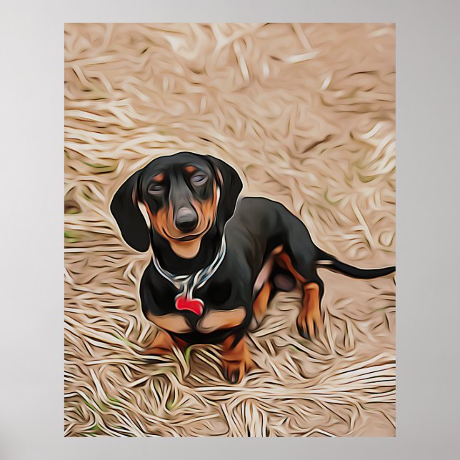 Poster Dachshund Puppy Vê A Câmera (Frente)