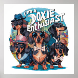 Poster Dachshund, sou um Entusiasta Doxie