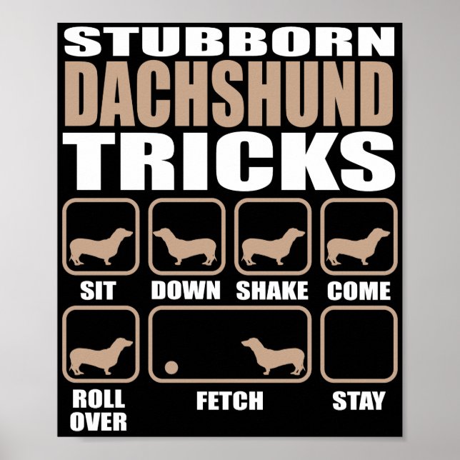 Poster Dachshund Tricks design (Frente)