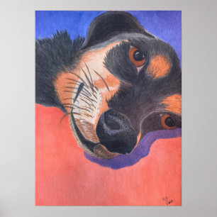 Poster Dachshund Watercolor