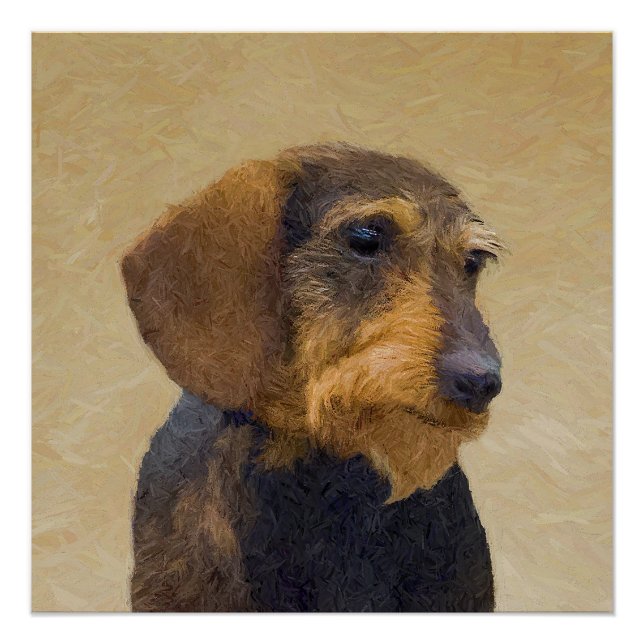 Pôster Dachshund (Wirehaired) Pintura Original para Cacho (Frente)