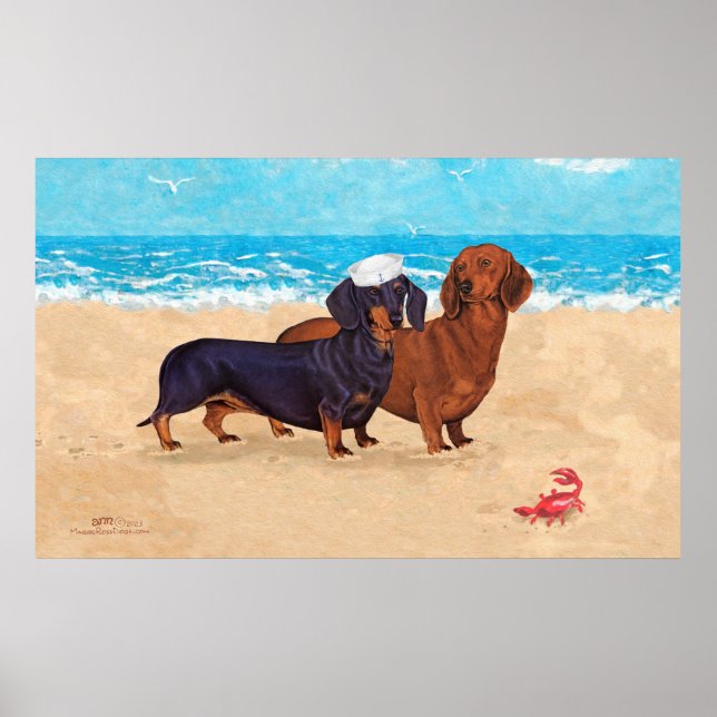 Poster Dachshunds na Praia  (Frente)