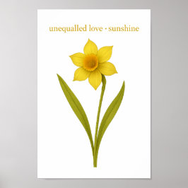Poster Daffodil - Amor inigualável, sol
