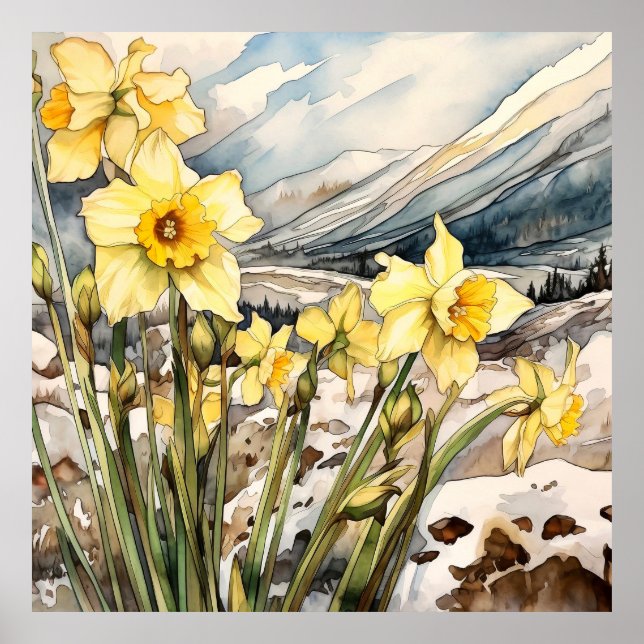 Poster Daffodil Sob Arte De Parede De Neve, Quadrado Flor (Frente)