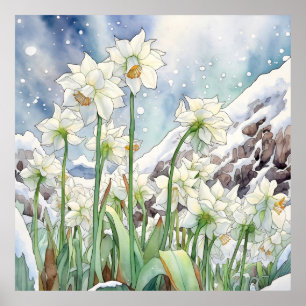 Poster Daffodil Sob Arte De Parede De Neve, Quadrado Flor
