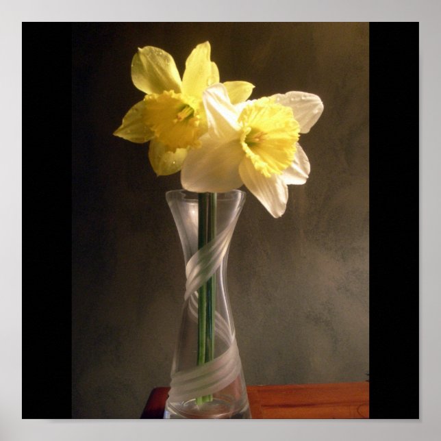 Pôster daffodil Vase (Frente)