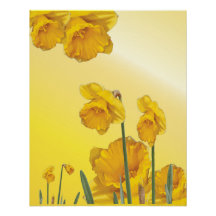 Daffodil Yellow Narcissus Retro Vintage