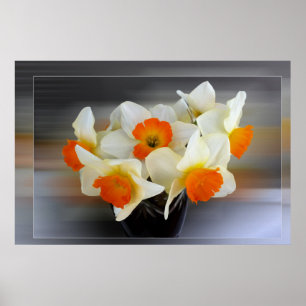 Poster Daffodilos de primavera inicial