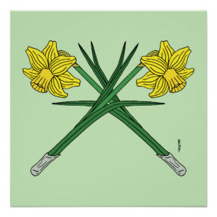 Pôster Daffodils Cruzados