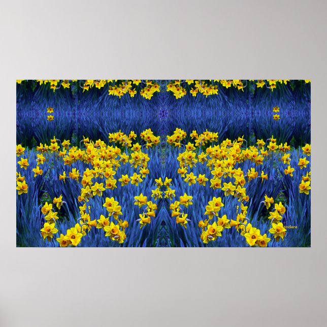 Poster Daffodils Refletindo (Frente)