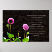 Dahlia Com Versos Eclesiastes