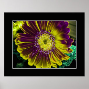 Pôster Dahlia Flor Abstrato Art Amarelo