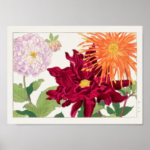 Poster Dahlia por Tanigami Konan