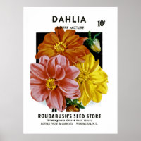 Dahlia Vintage Seed Packet