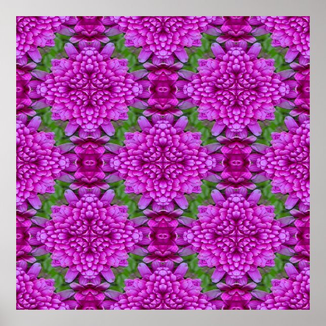 Poster Dahlias.. (Frente)