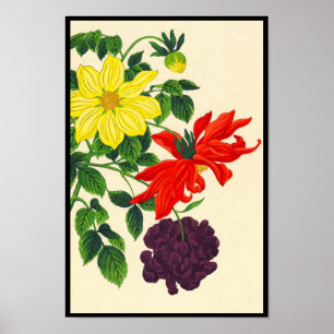 Pôster Dahlias orientais japonesas flores Nishimura Hodo