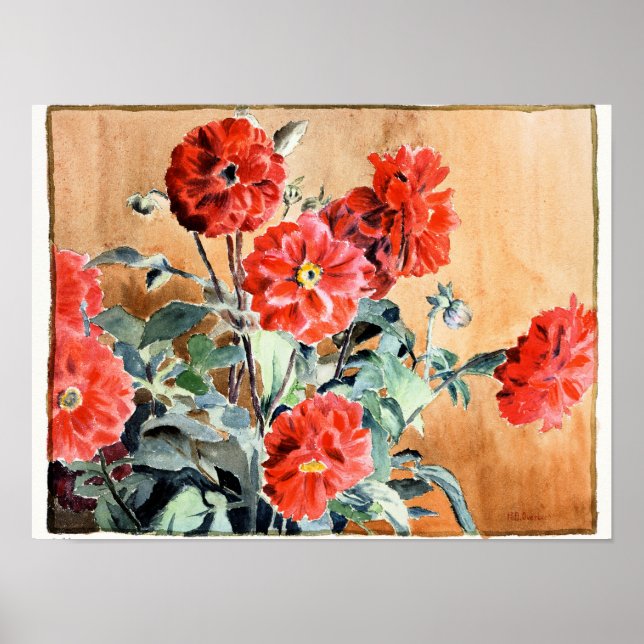 Poster Dahlias, pintura de aquarela botânica (Frente)