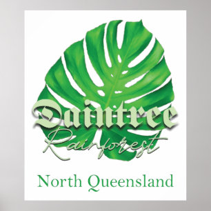 Poster Daintree RainForest