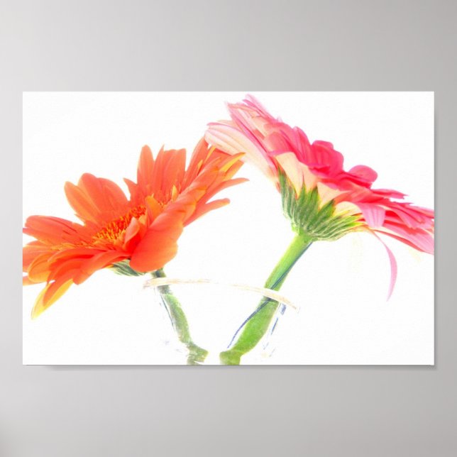 Pôster Daisies (Frente)