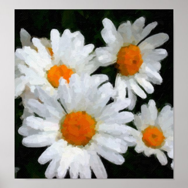 Pôster Daisies (Frente)