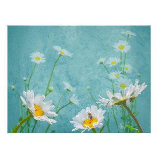 Pôster Daisies on a blue background