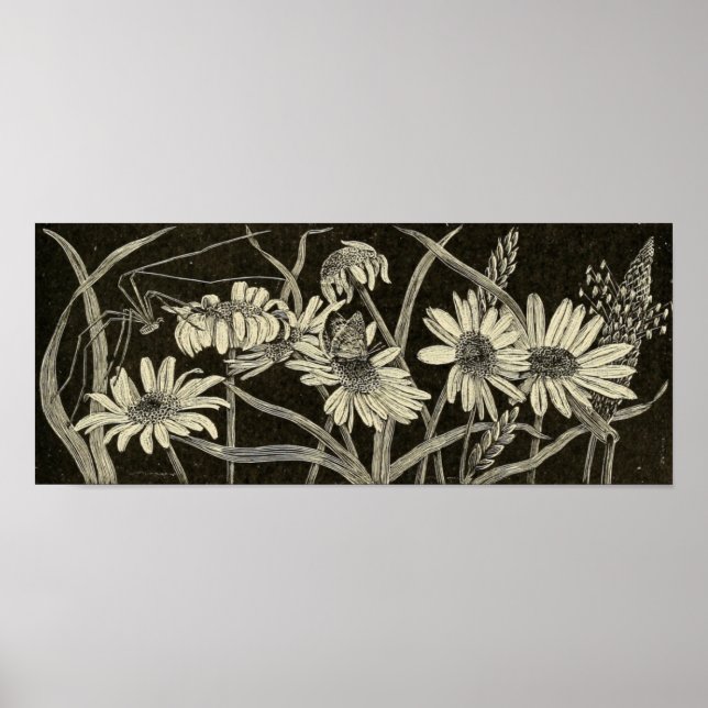 Pôster Daisy (Frente)