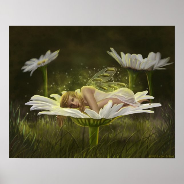 Poster Daisy (Frente)