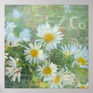 Pôster Daisy Co. Arte Digital, Grunge