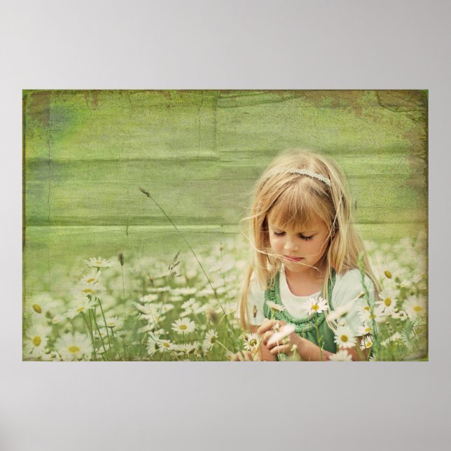 Pôster Daisy Daydreams (Frente)