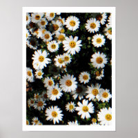 Daisy Emoji Faces