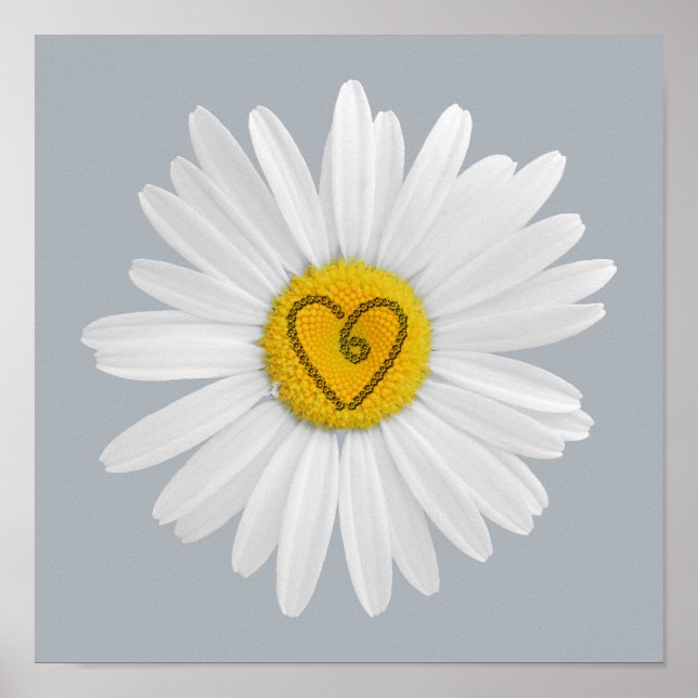 Pôster Daisy Flower Love Art Personaliza o fundo (Frente)