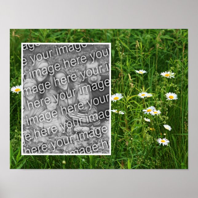 Poster Daisy Flowers In Field Adicionar Sua Foto (Frente)
