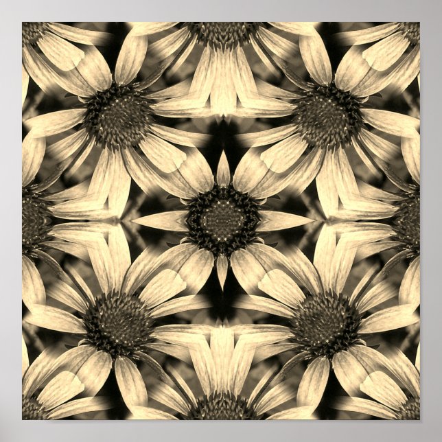 Poster Daisy Flowers Mirror Sepia Abstrato (Frente)