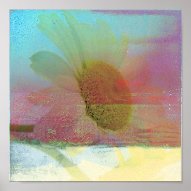 Poster Daisy Glitch (Frente)