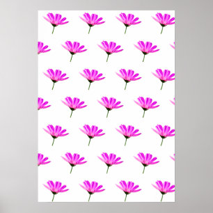 Poster Daisy Rosa