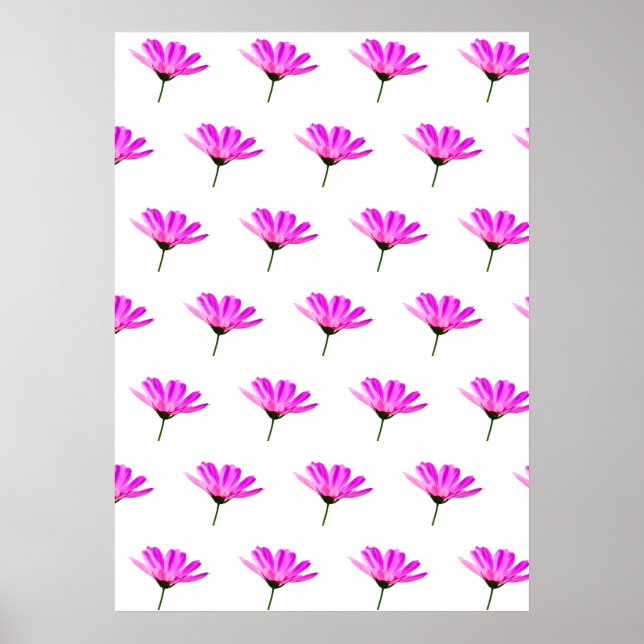 Poster Daisy Rosa (Frente)