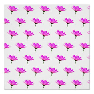 Pôster Daisy Rosa