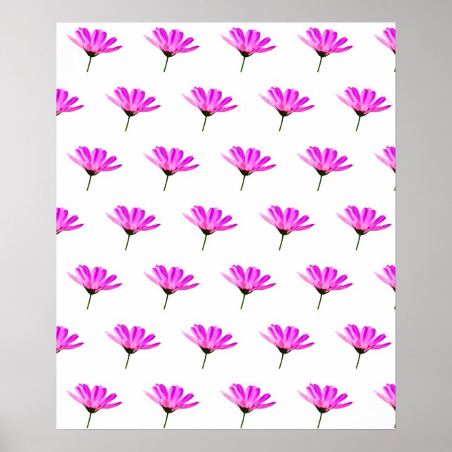 Poster Daisy Rosa (Frente)