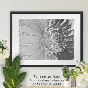Pôster Daisy Shades da Cinza Floral