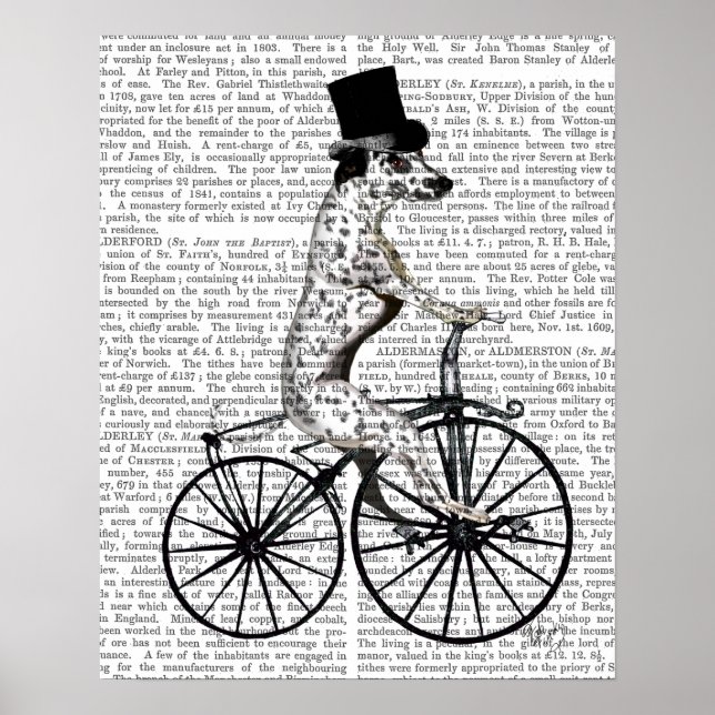 Poster Dalmácia na Bicicleta (Frente)
