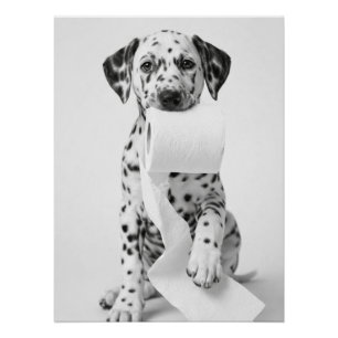 Pôster Dalmata Engraçado Filhote Segurando Papel Higiênic