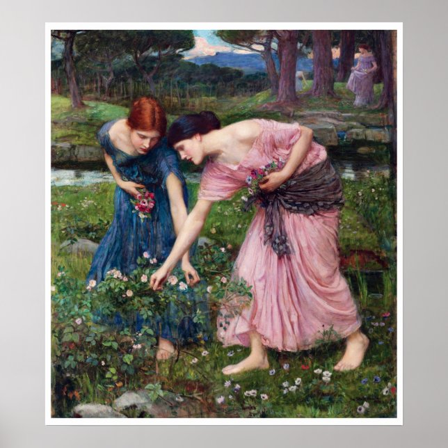 Poster Damas Colhendo Rosas, John William Waterhouse (Frente)